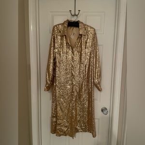 Image du Image Sequin Dress